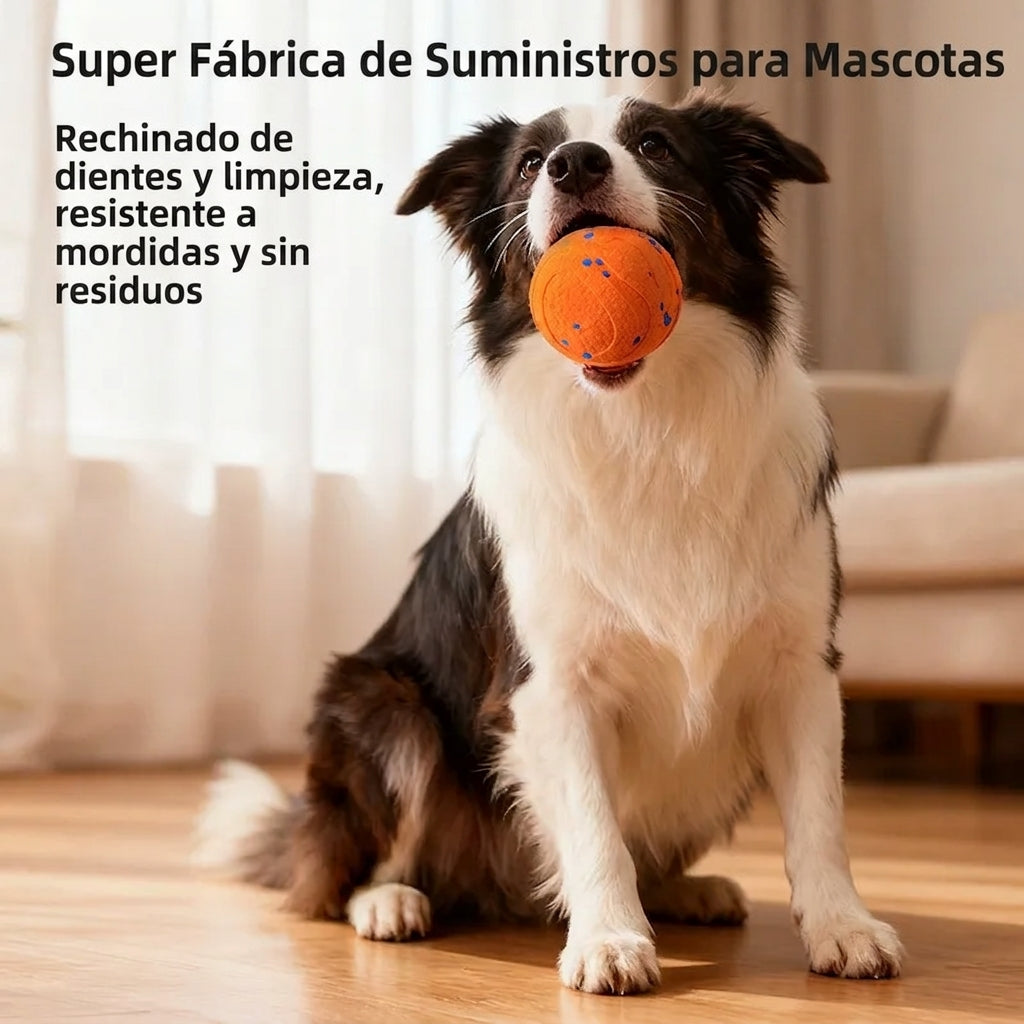 Pelota Interactiva Mordedora