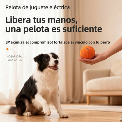 Pelota Interactiva Mordedora